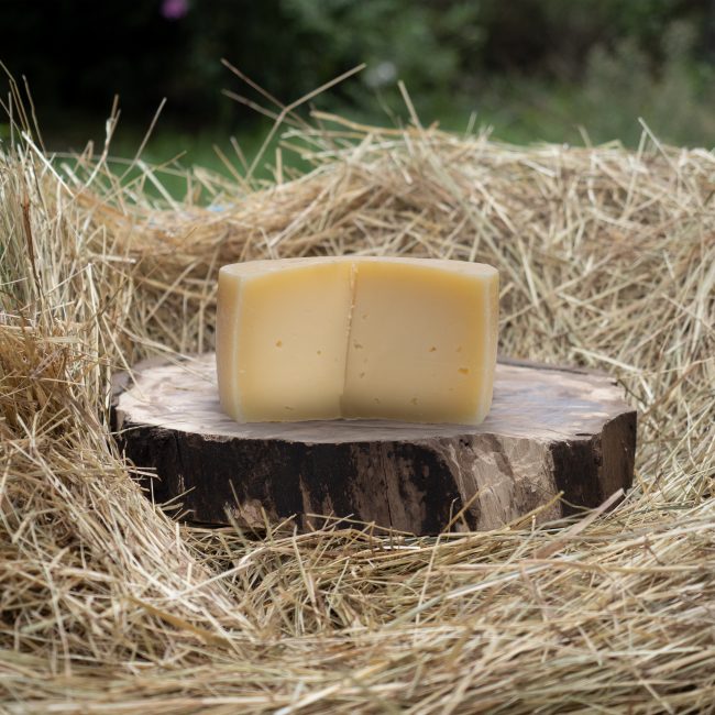 Cotto di Santa Lucia senza lattosio