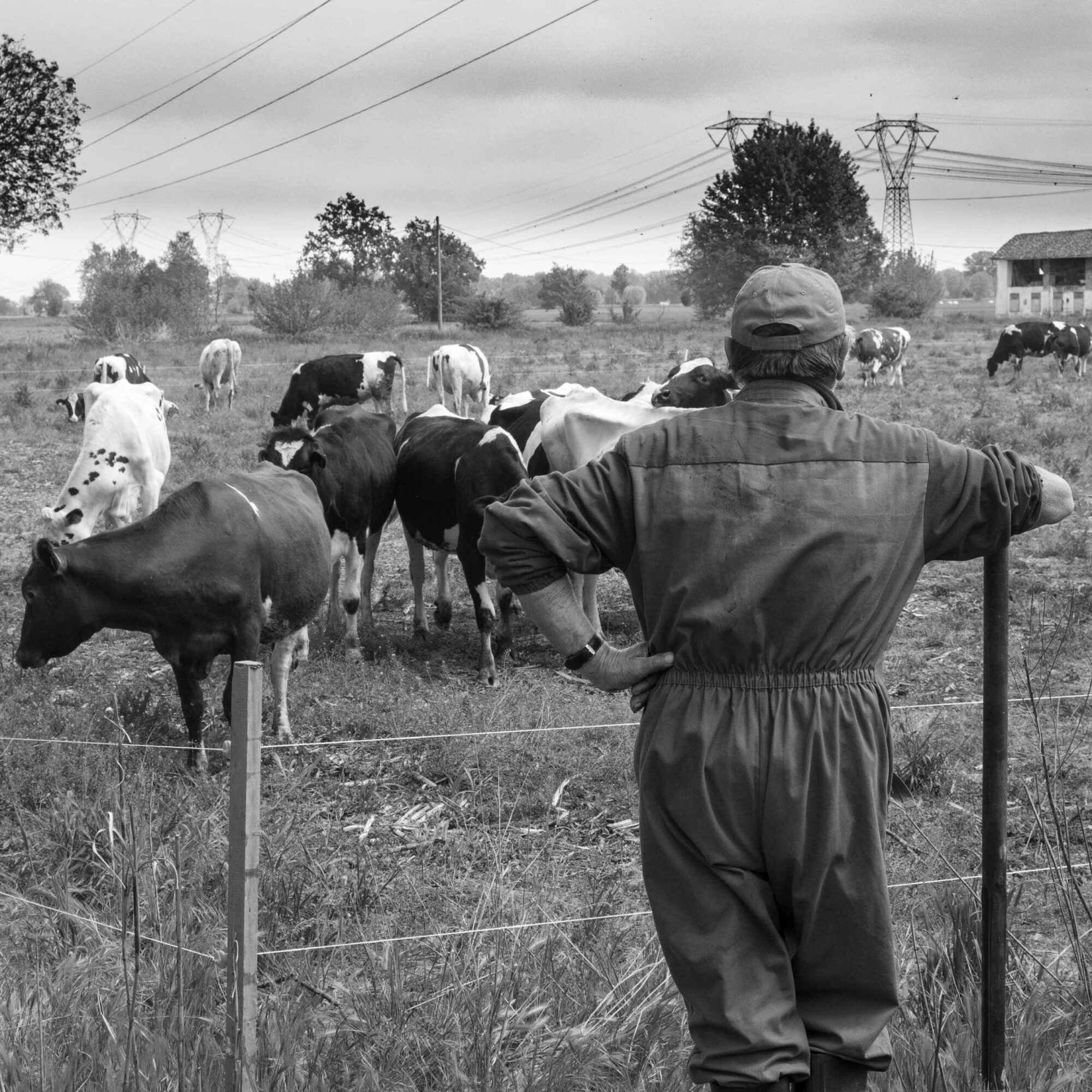 Azienda_Agricola_Betti_pastore